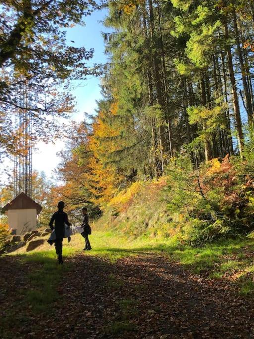 Le Chalet Des Coeurs Ле-Толи Экстерьер фото
